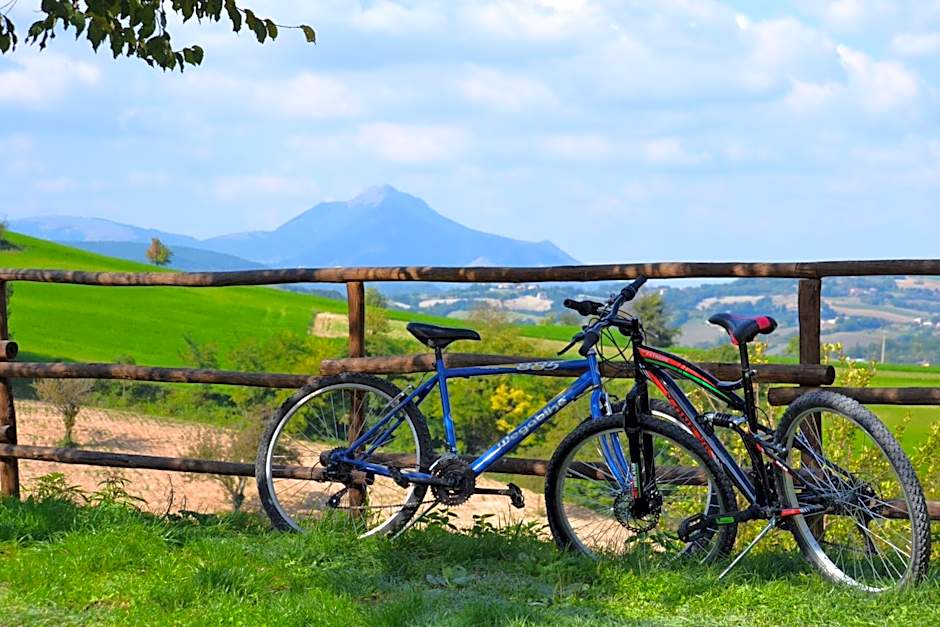 Agriturismo B&B La Cerasa