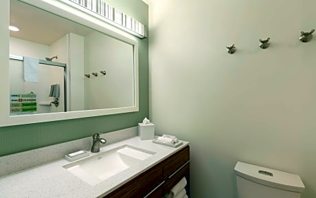 1 King Bed Premium Studio Suite Nonsmoking