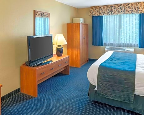 1 King Bed, Suite, Nonsmoking