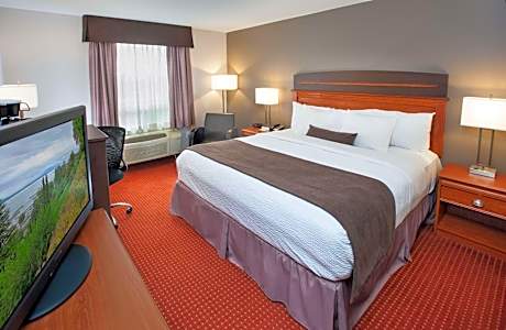 Two-Room King Suite - Non-Smoking