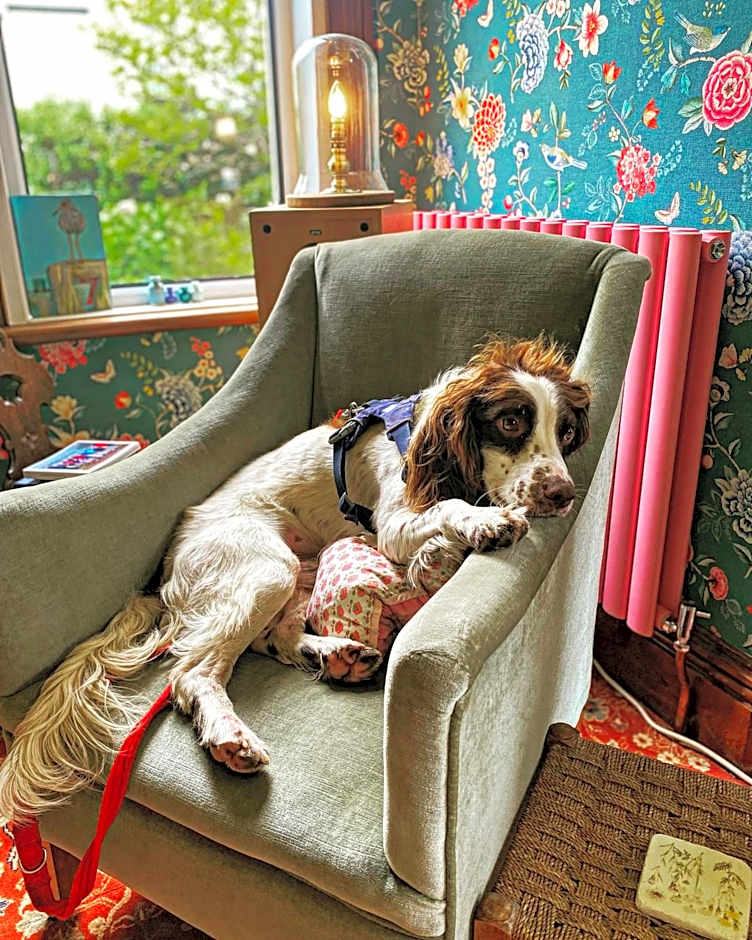 The Mount B&B