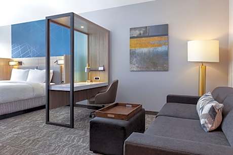King Suite with Trundle Sofa - Hearing Accessible