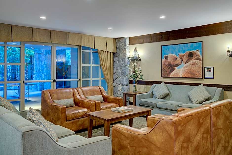 Blackcomb Springs Suites by CLIQUE