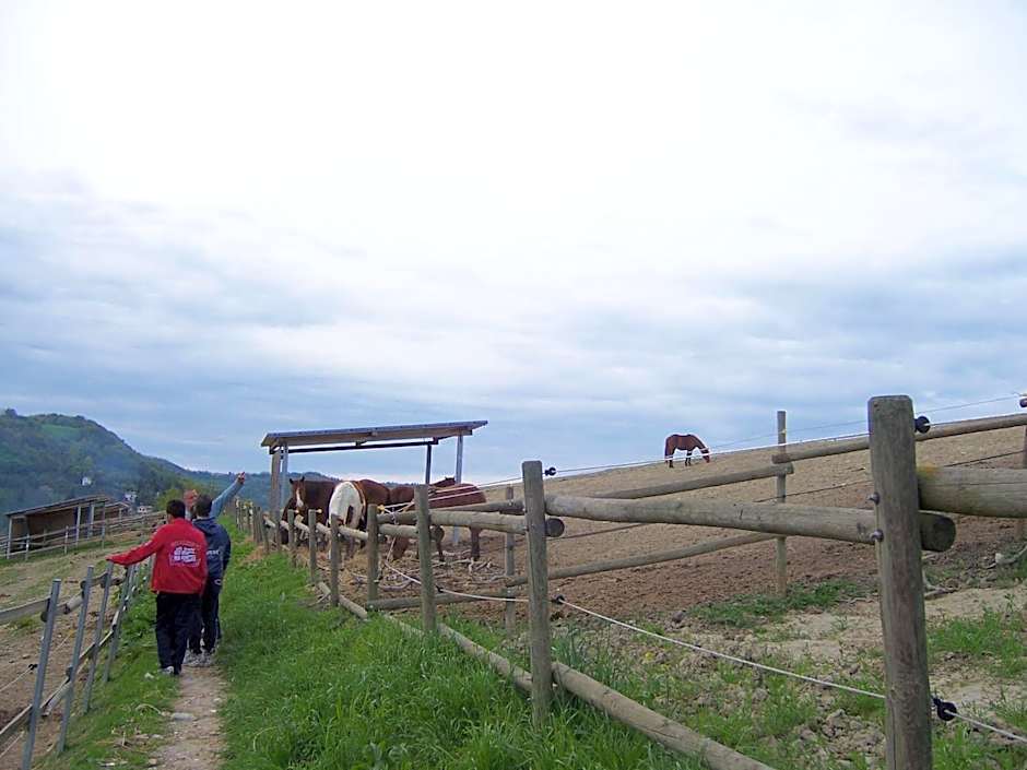 Casa Cairo Rooms&Services