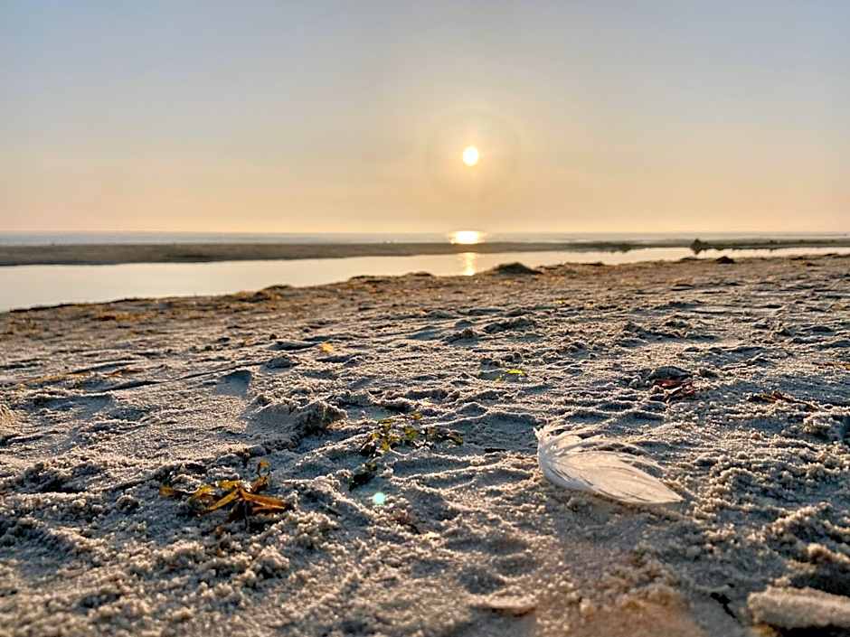 Friesenhof Hotel-Restaurant-Reitanlage