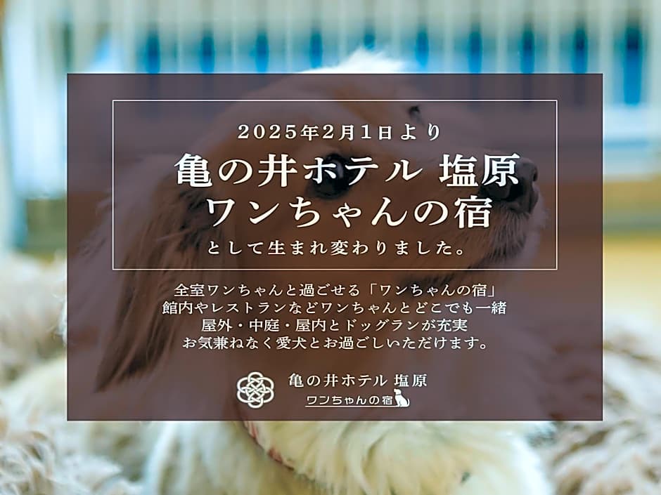 KAMENOI HOTEL SHIOBARA Dog Friendly Hotel