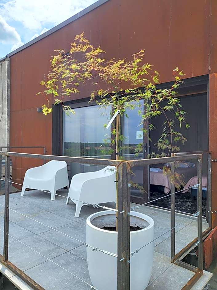 Synet CoLiving