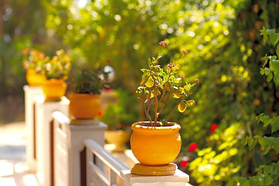 Pyrgaraki Studios and Apartments