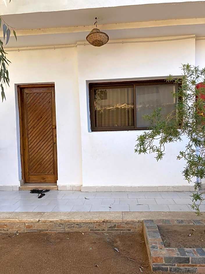 Oasis Fighting Kangaroo