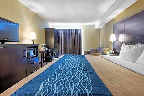 Efficiency Queen Room with Sofa Bed - Non-Smoking