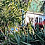 Koromatua Homestead