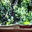 Palmaia The House of AiA All Inclusive Wellness Resort