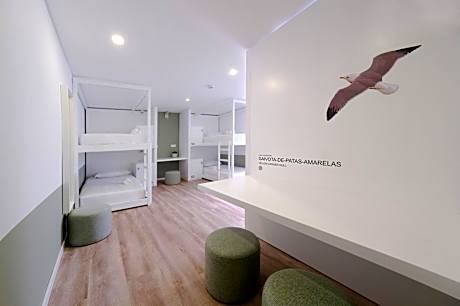 Single Bed in Female Dormitory Room