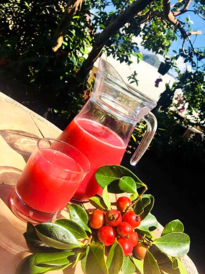 Relais Des Gouverneurs