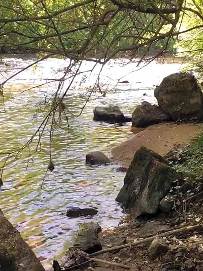 Domaine des Papeteries