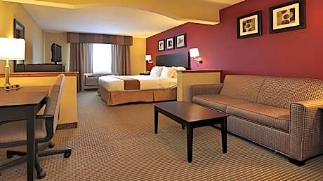 1 King Bed Suite Additional Living Area