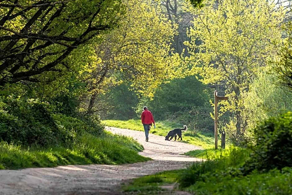 2 BR, Modern Urban Sanctuary 1CC - Cherrydeal