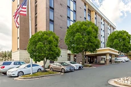 1 bedroom Suite