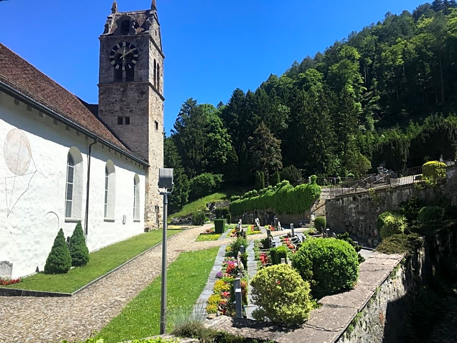 Historic Hotel Steinbock