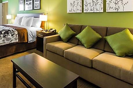 1 King Bed, Suite, Nonsmoking, Accessible