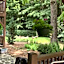 Misty Mountain Ranch B&B