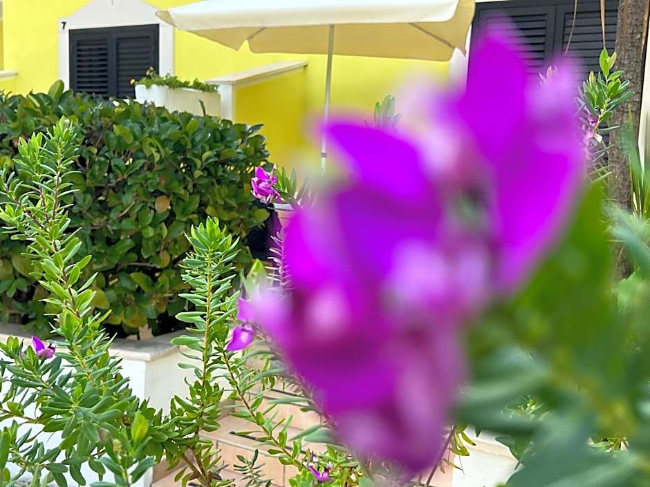 Argeste Club Vacanze