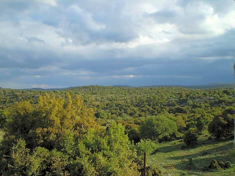 Arachovitika Kalivia