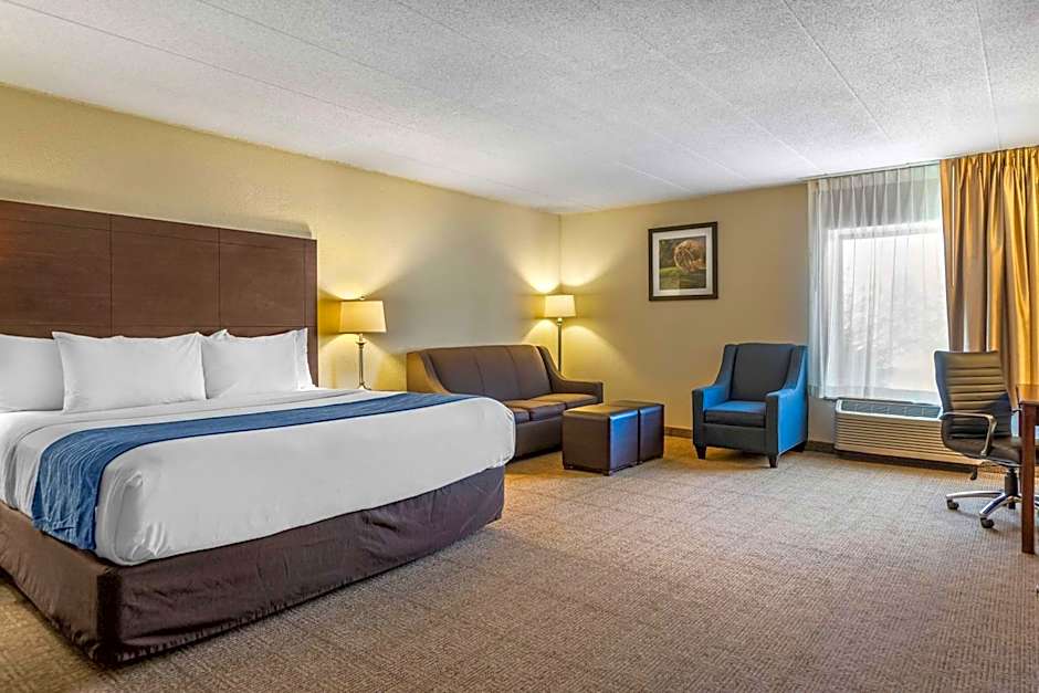 Comfort Inn Grand Rapids Airport