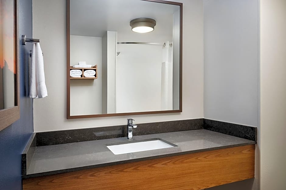 Fairfield Inn & Suites Auburn Opelika