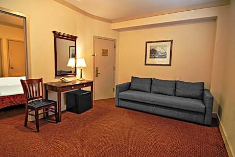 Bronze, Junior Suite