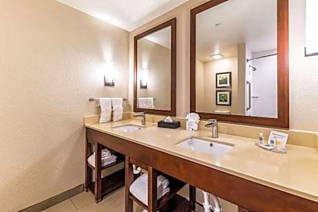Upgraded King Suite with Sofa Bed - Non-Smoking