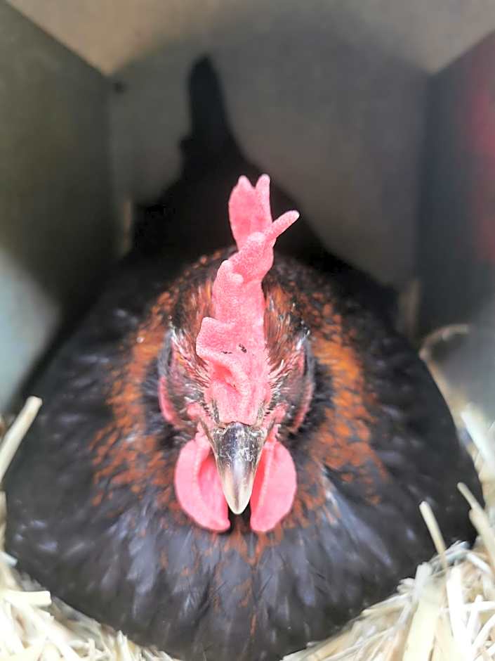 B&B A la Ferme d'Ourches