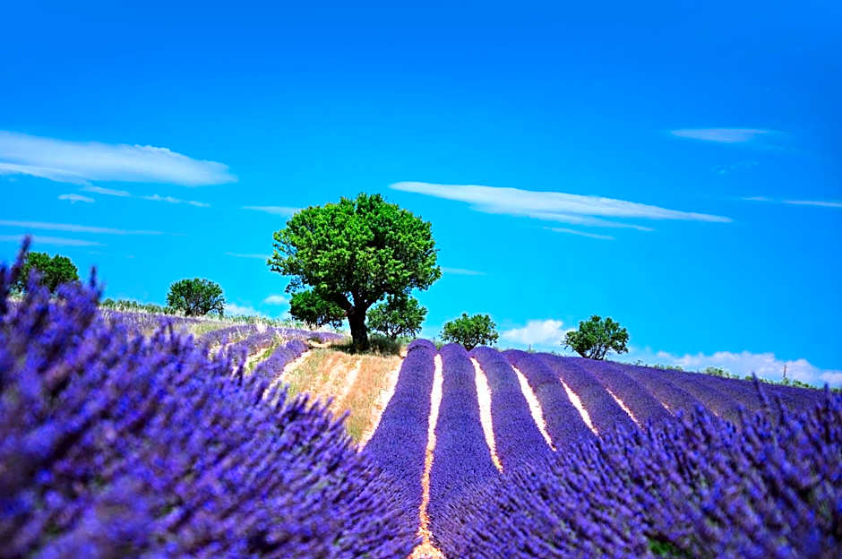 Hotel Bel Alp Manosque