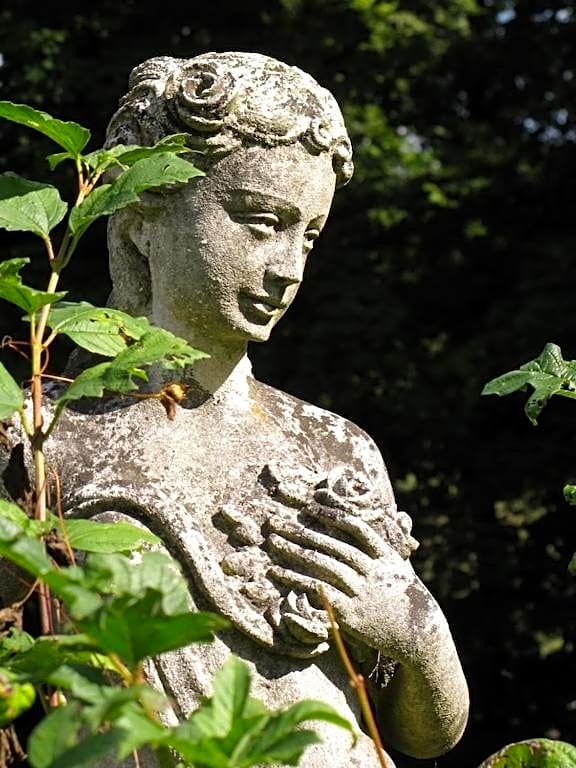 La chambre des vignerons