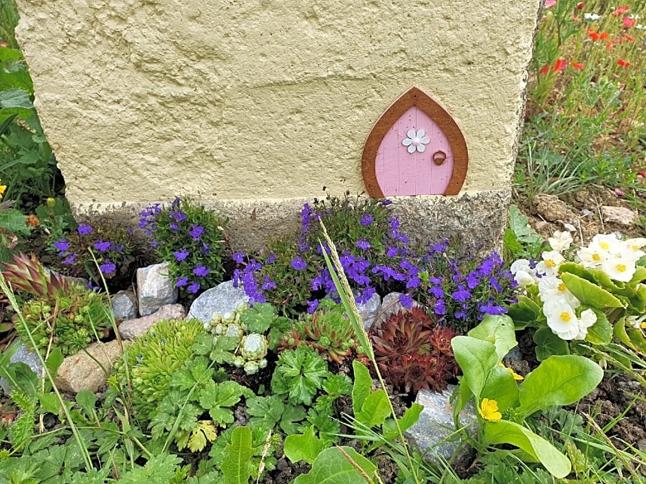 Dartmoor Reach Alpaca Farm