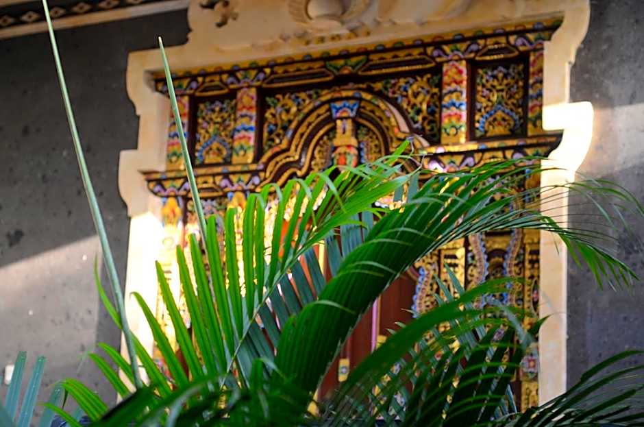 Amed Romance House