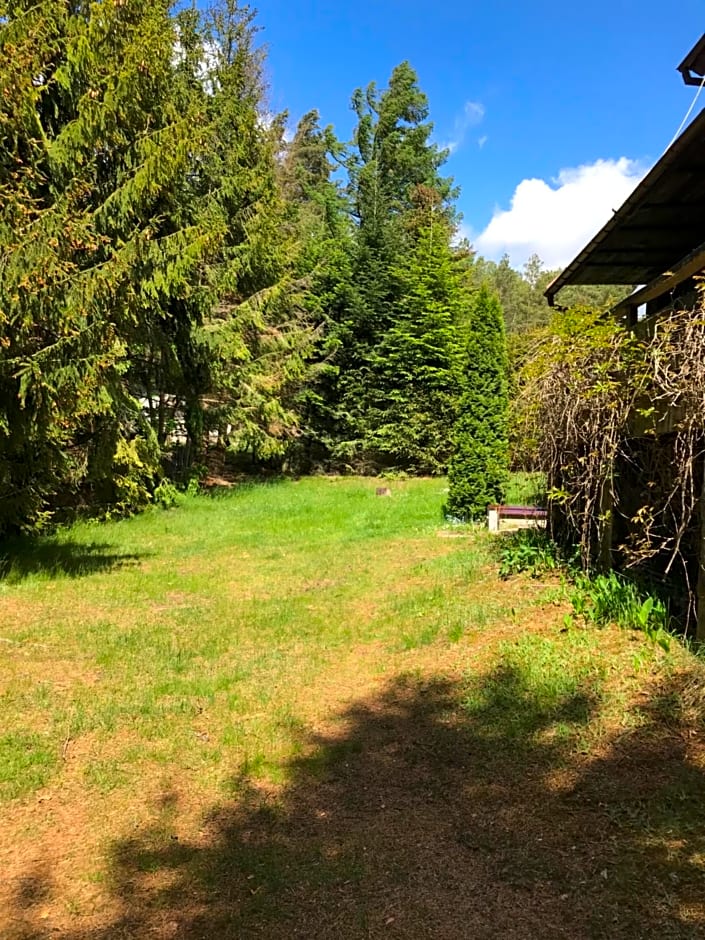 Dom letniskowy POŚRÓD KASZUBSKIEGO LASU