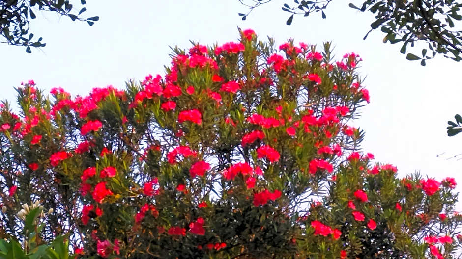 Sandy Serviced Apartment