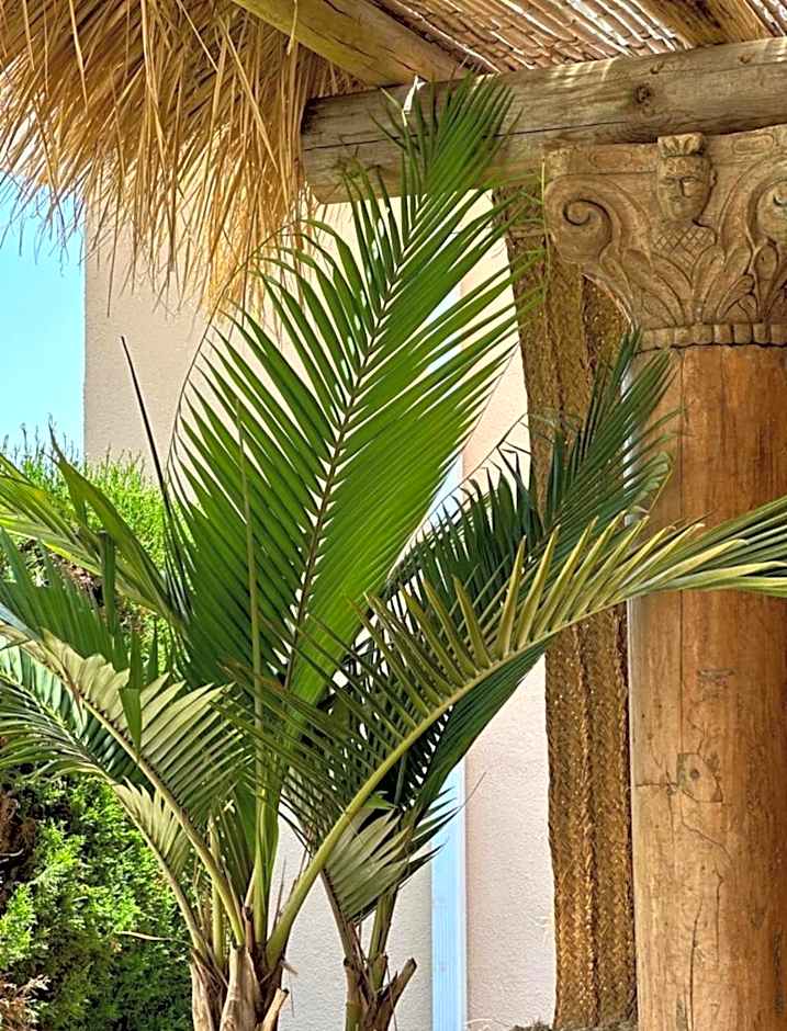 Luxury B&B Villa Tauro