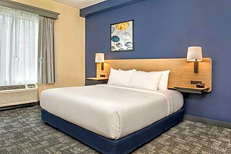 King Room with Sofa Bed and Limited View