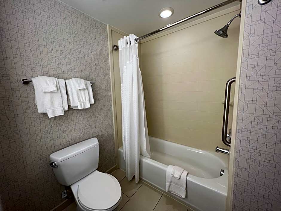 Photo 1 of 4 of 1 King Bed Suite, Jetted Tub