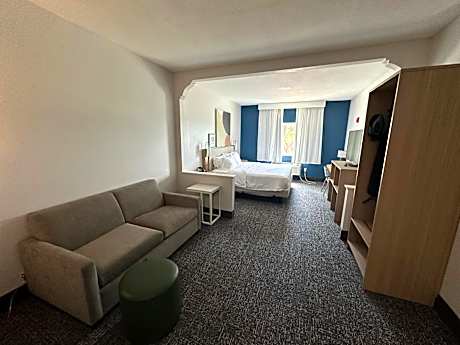 1 King Bed With Sofabed
