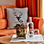 Noldis Hotel