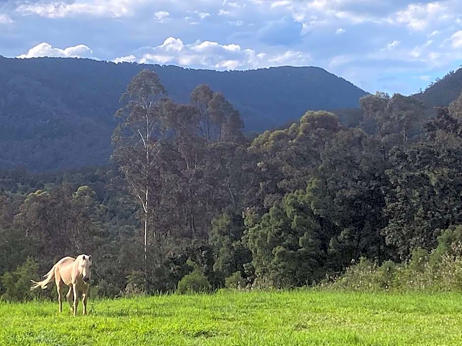 Nimbin waterfall retreat