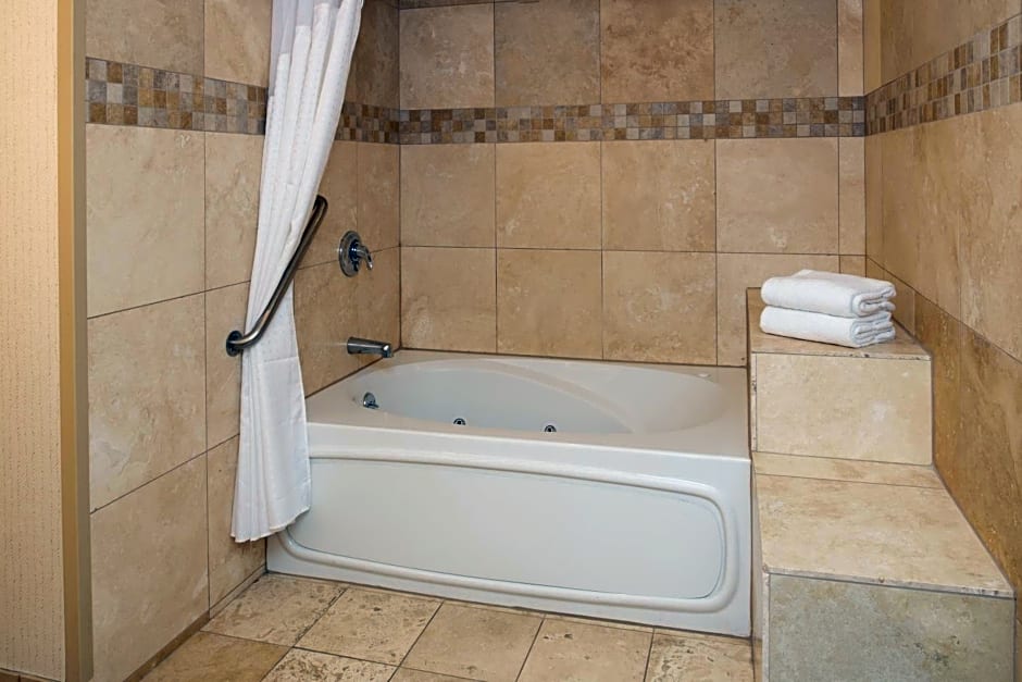 Holiday Inn Portland - Columbia Riverfront by IHG