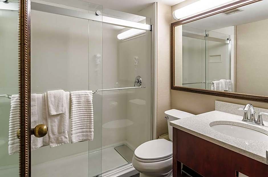 Comfort Inn & Suites West Springfield