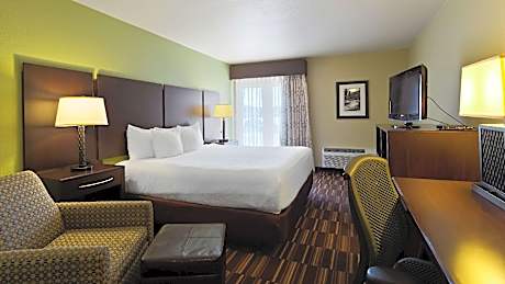 1 King Bed