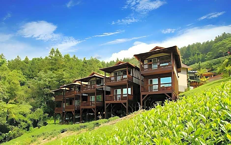 Applause In The Mountain