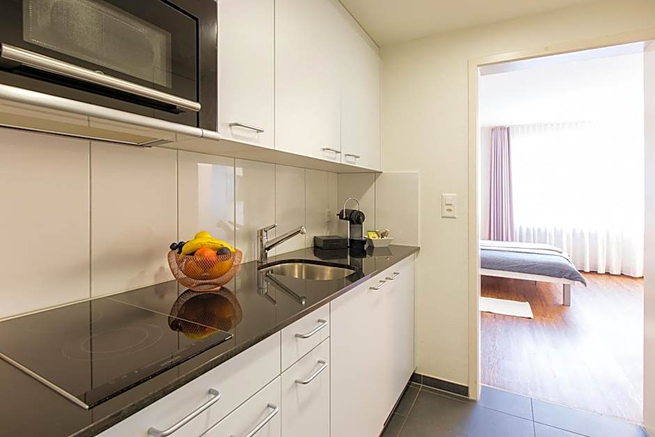 Apartmenthaus zum Trillen Basel City Center