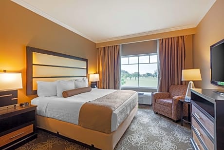 Accessibility - 1 King, Bathtub, Nonsmoking